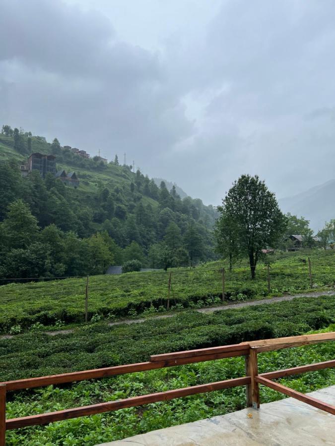 Afara Bungalows Otel & Cafe Rize Eksteriør bilde